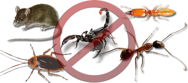 controle-de-pragas