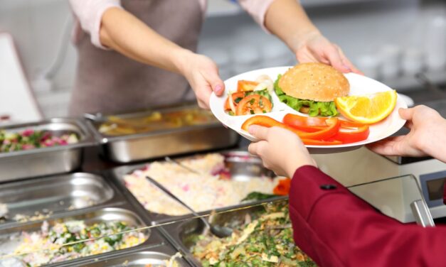 Conheça cada Etapa da Consultoria de Alimentos: Estruturação e Implementação